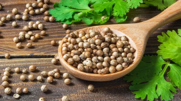 Coriander Whole - 275g (9.7 oz)